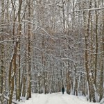 yoga training seasonal affective disorder