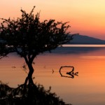 yoga teacher training insomnia epidemic