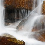 yoga for cancer yoga certification