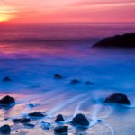 yoga teacher training yoga teacher