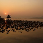 yoga teacher tetreat yoga teachers training center on the water