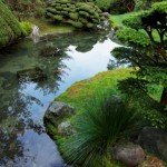 yoga for emotional health improving emotional health