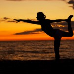 yoga teacher training yoga certification