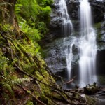 benefits of yogic relaxation yoga and the art of relaxation