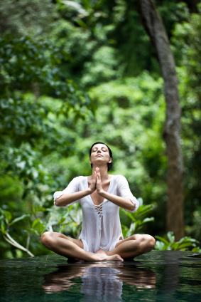 yoga teacher training yoga teacher certification courses