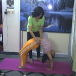 Chakrasana become a yoga teacher