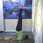 Sarvangasana yoga teacher training