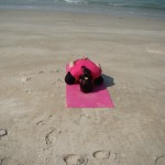 Yoga Mudra yoga teacher course