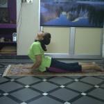 Bhujanga yoga teacher certification