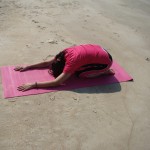 Shashankasana yoga certification