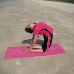 Ushtrasana become a yoga teacher
