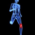 yoga instructor training yoga certification