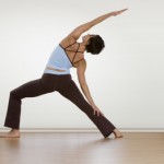vinyasa yoga teacher training