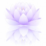 500 hour yoga instructor certification program