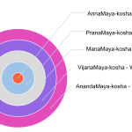 about dosha theory