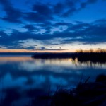 Self-realization Self-realization